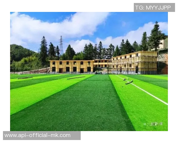 探索市立吹田足球场的魅力与周边文化活动的完美结合